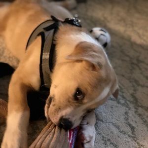 Meet your Posher, Jonathan